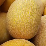 Hibrit (Balkız F1 Ananas Tipi) Kavun Tohumu