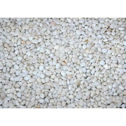 10 Kg Dolomit,Akvaryum Taşı