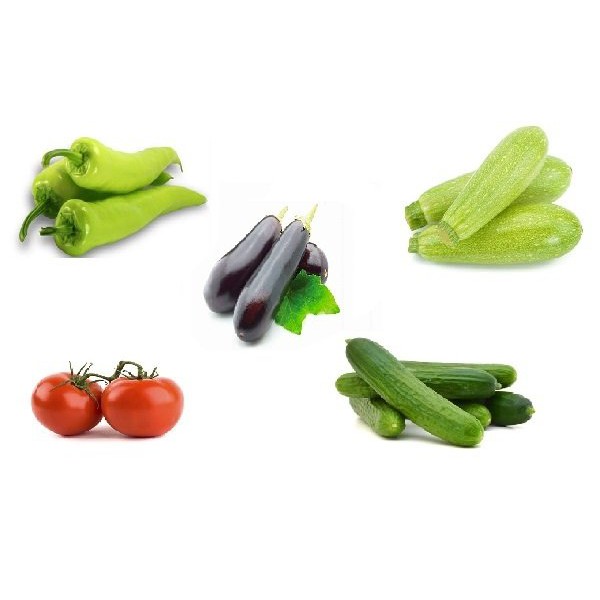 Patlıcan - Kabak - Domates - Salatalık - Biber Tohumu Paket Kampanyası